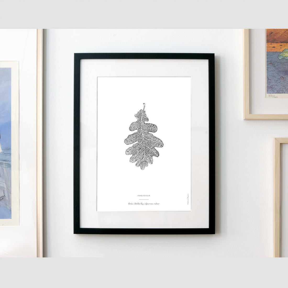 Oak Leaf Art Print - Darling Spring