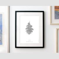 Oak Leaf Art Print - Darling Spring