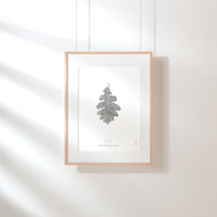 Oak Leaf Art Print - Darling Spring