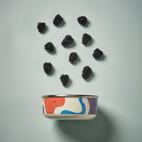 Kapka Flashback Enamel Food Storage Container - Darling Spring