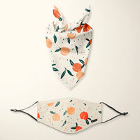 Face Mask & Dog Bandana Bundle - Darling Spring