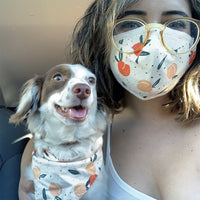 Face Mask & Dog Bandana Bundle - Darling Spring