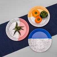 Kapka Mind-Pop Enamel Dinner Plate - Darling Spring