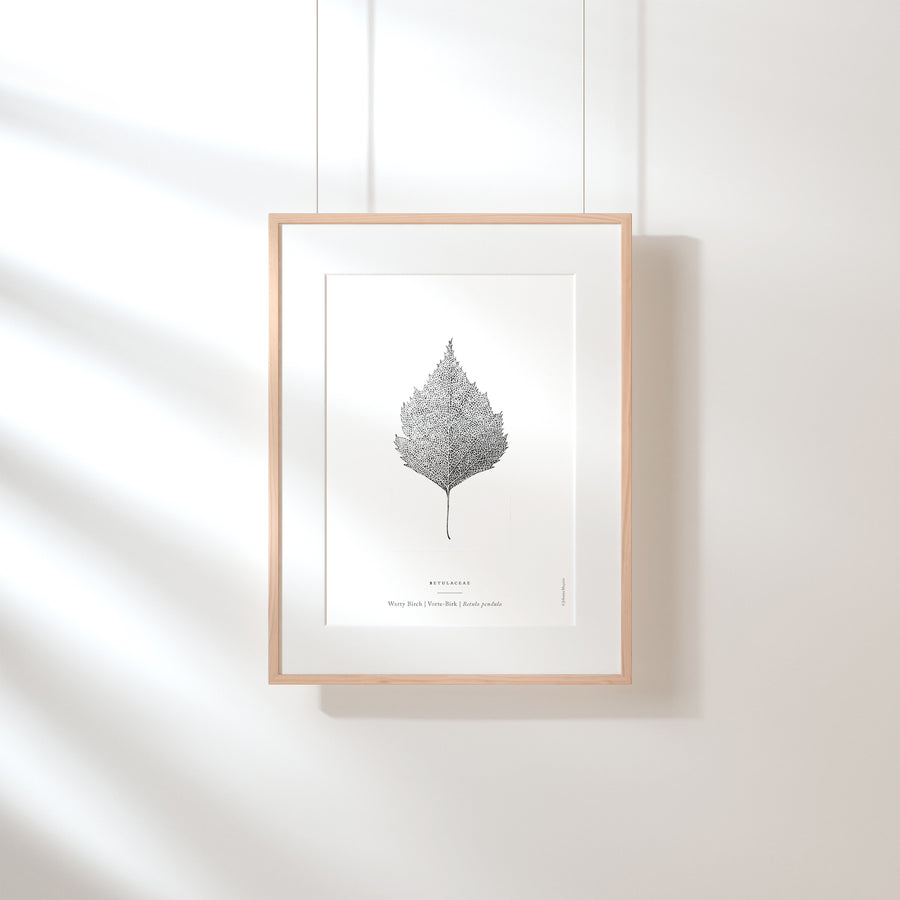 Nature Art Print Set - Darling Spring