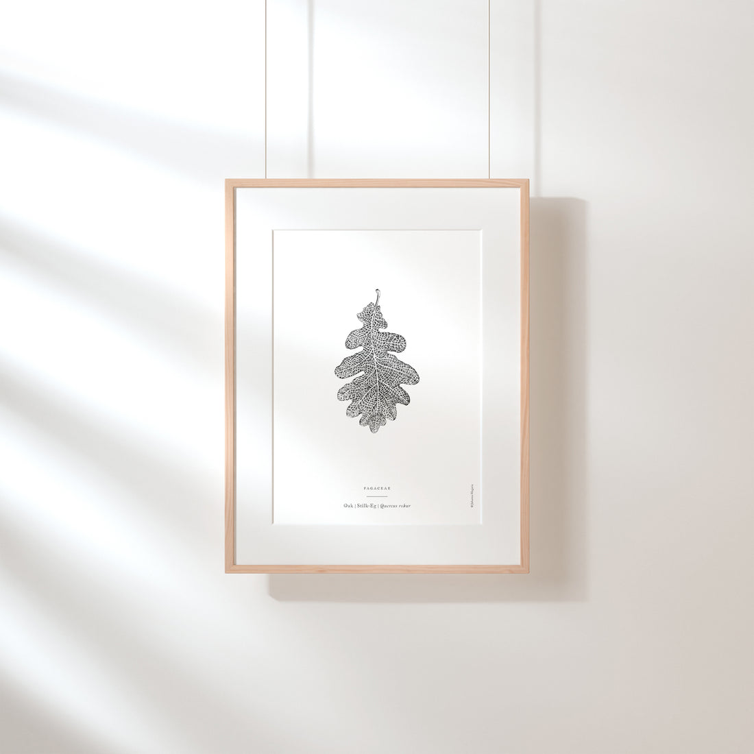 Oak Leaf Art Print - Darling Spring