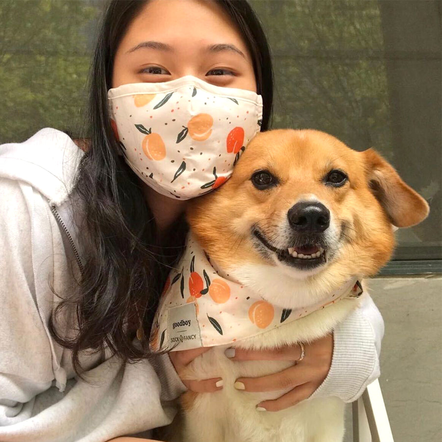 Face Mask & Dog Bandana Bundle - Darling Spring