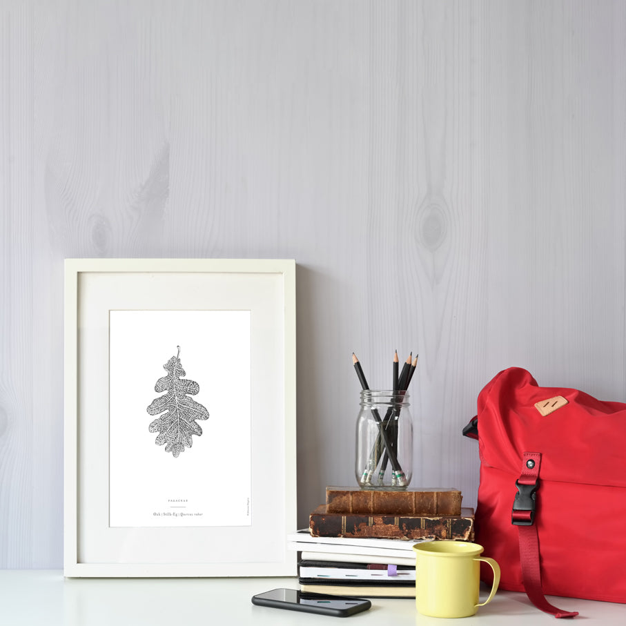 Nature Art Print Set