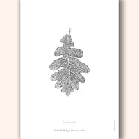 Oak Leaf Art Print - Darling Spring