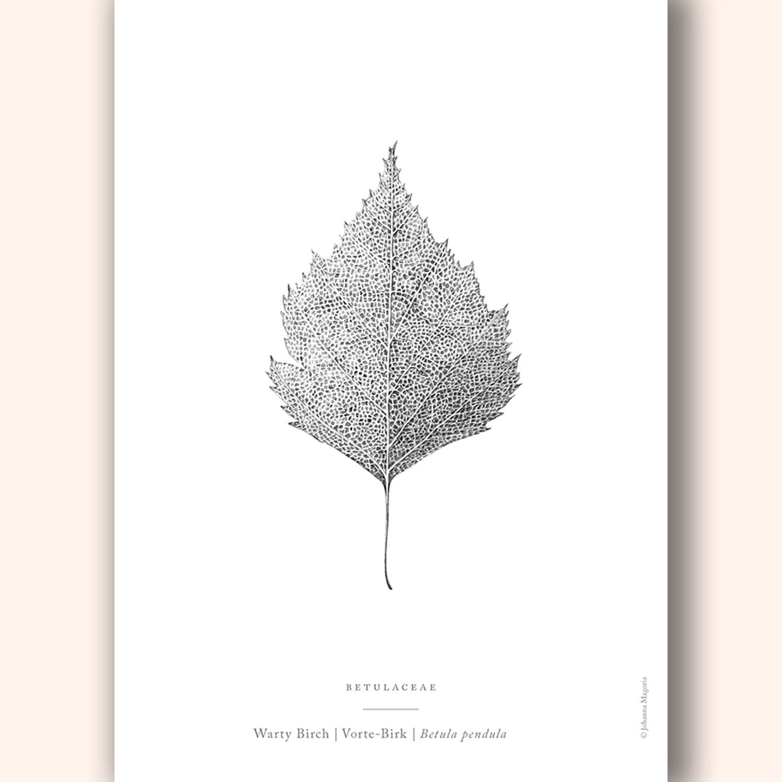Warty Birch Leaf Art Print - Darling Spring