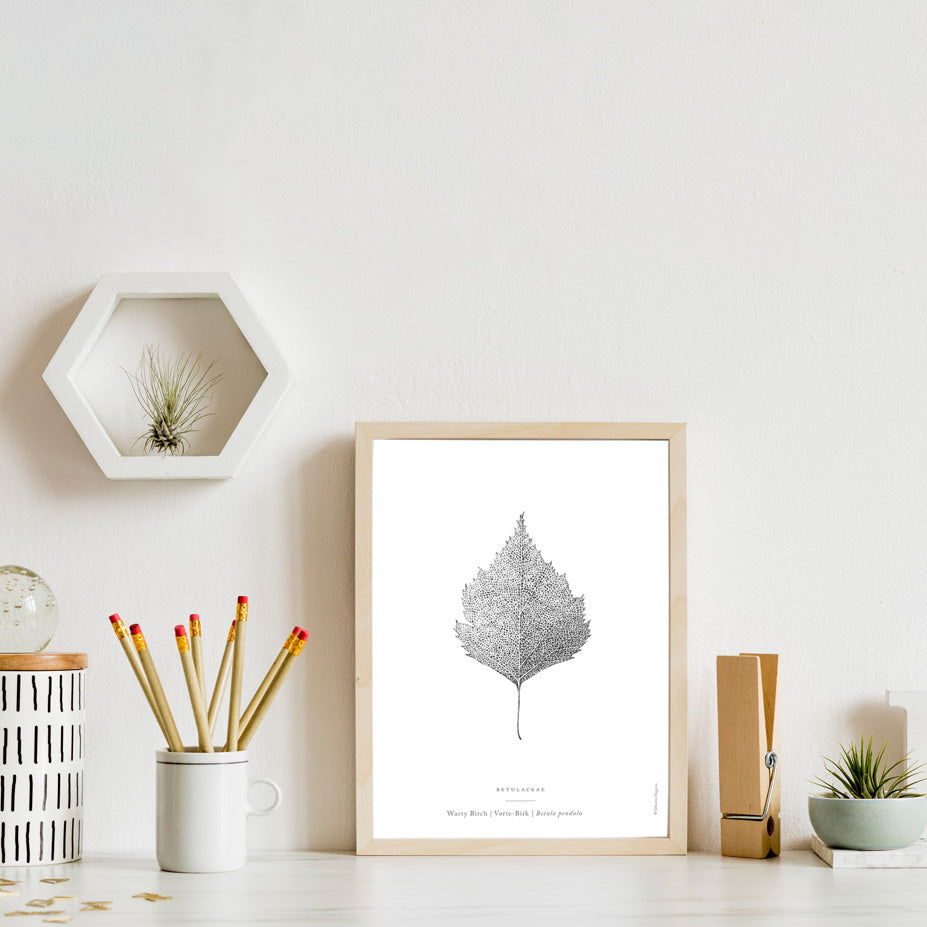 Warty Birch Leaf Art Print