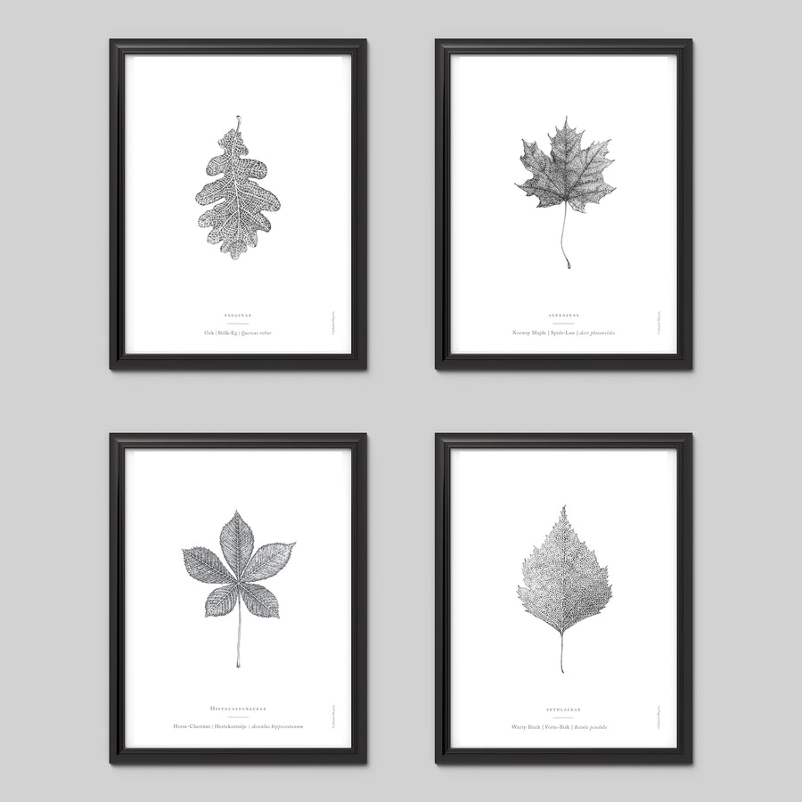 Nature Art Print Set - Darling Spring