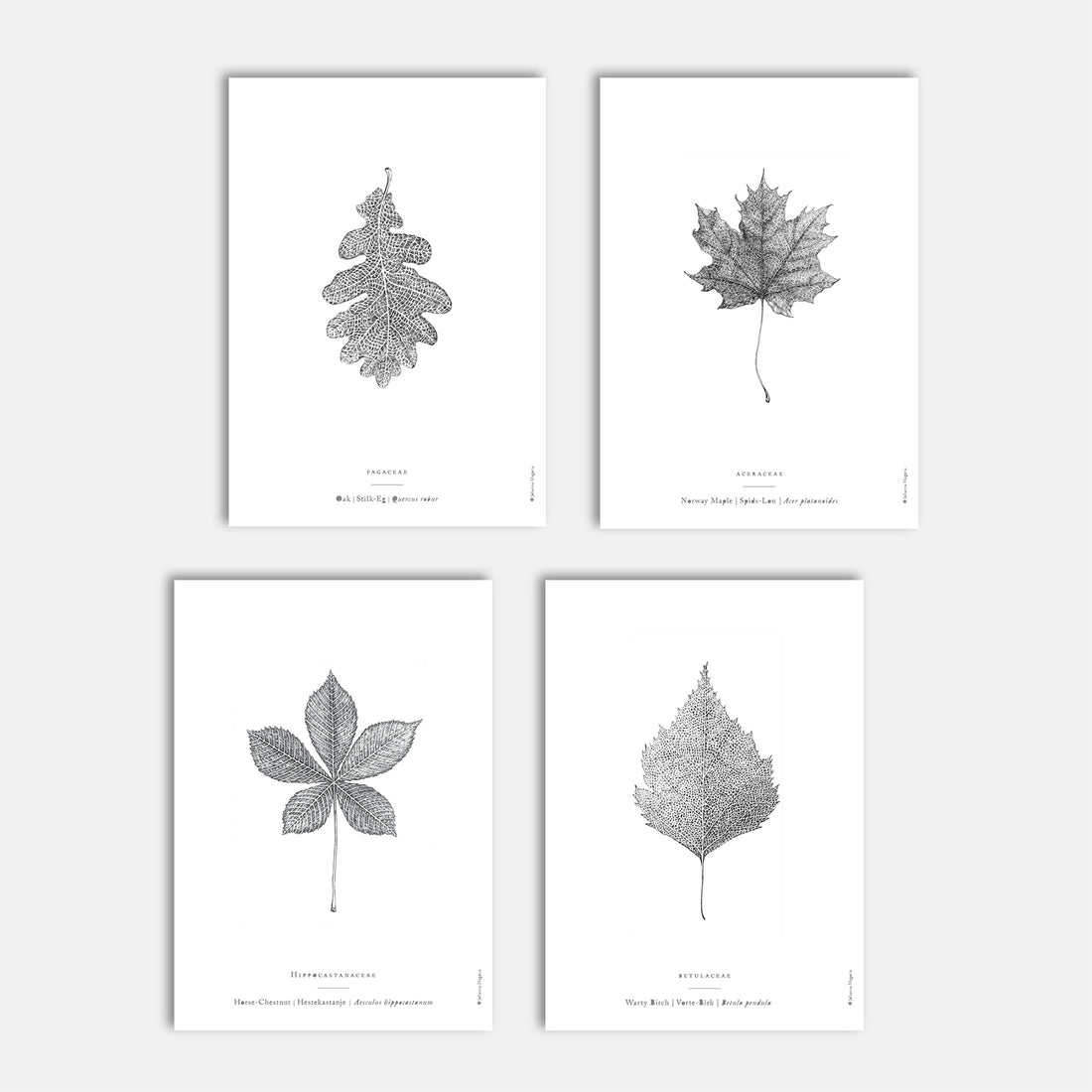 Nature Art Print Set - Darling Spring